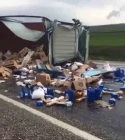 Siirt’te Temizlik Malzemesi Taşıyan Kamyonet Devrildi, Sürücü Yaralandı